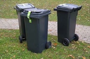Council bins should be hidden, survey finds